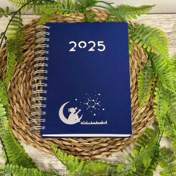 AGENDA SOLIDARIA 2025